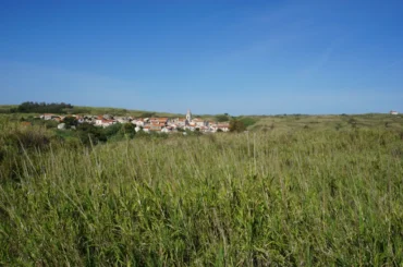Sandy Susak, green and sand between two villages. Photo credit Zdravko R.
