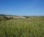 Susak Island guide: elude the crowds on this Croatian island, made of sand — a paradise for solitude seekers and nature lovers
