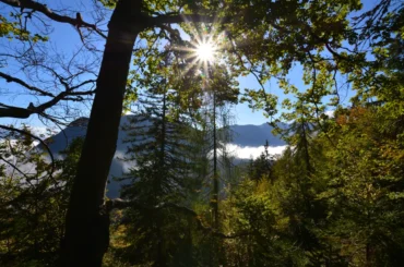 Vrtaško Sleme, sunset at forest
